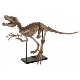 Dekofigur Dinosaurier Raptor braun/schwarz (145x59x81