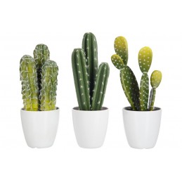 Mini Pflanzenset 3er Set mit weißen Blumentopf Kaktus grün (10x10x29cm)