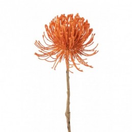 Kunstblume Leucospermum orange L