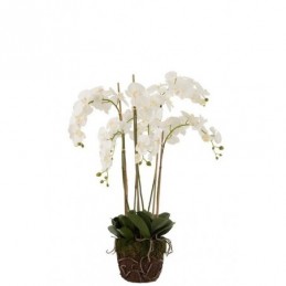 XL Premium Seidenblume elegante Orchidee weiß/grün