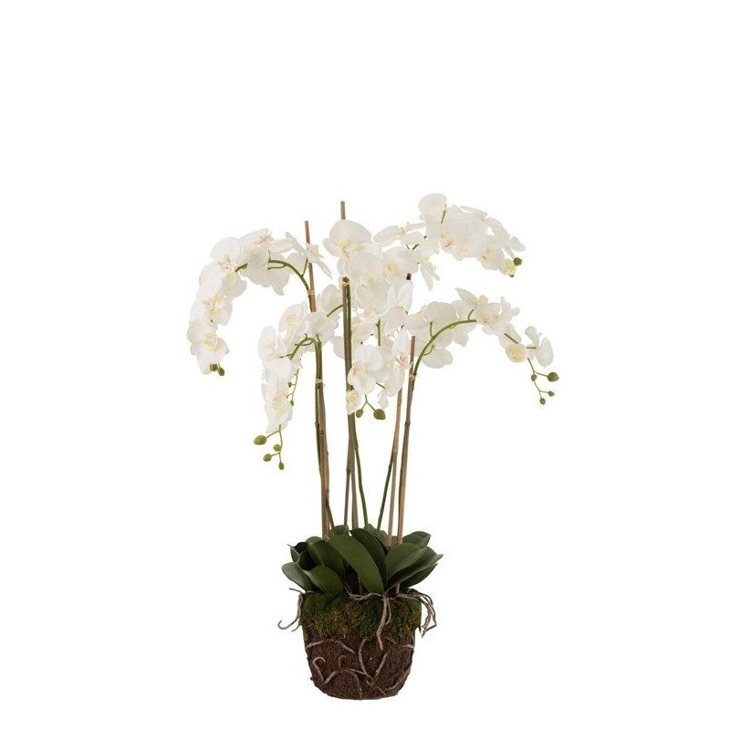 XL Premium Seidenblume elegante Orchidee weiß/grün