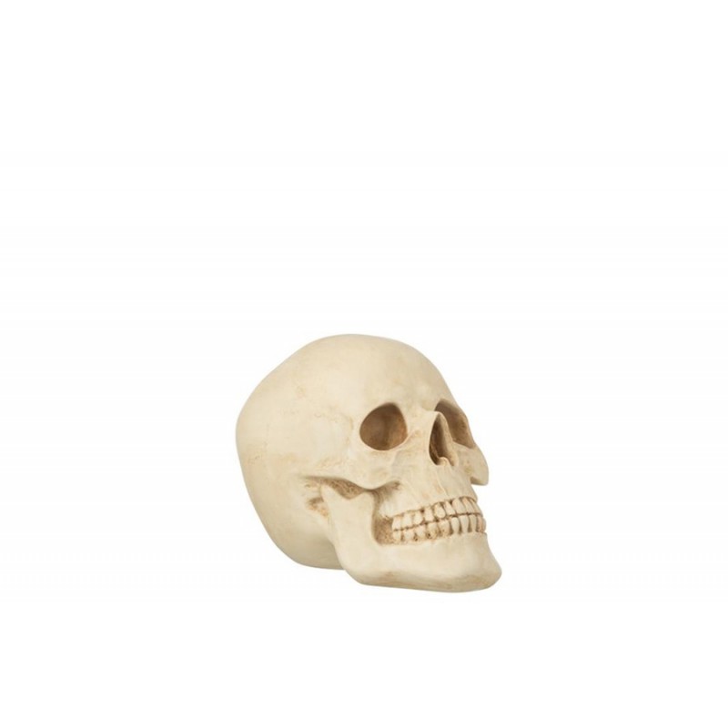 Dekofigur Knochenschädel natur/beige L (26x18x19cm)