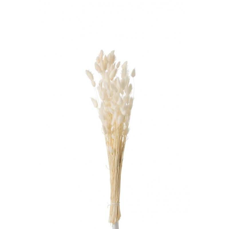 Strauß Samtgras natur/weiß/beige M (10x5x84cm)
