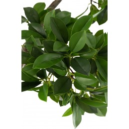 Ficus Baum grün/schwarz (38x30x120cm)