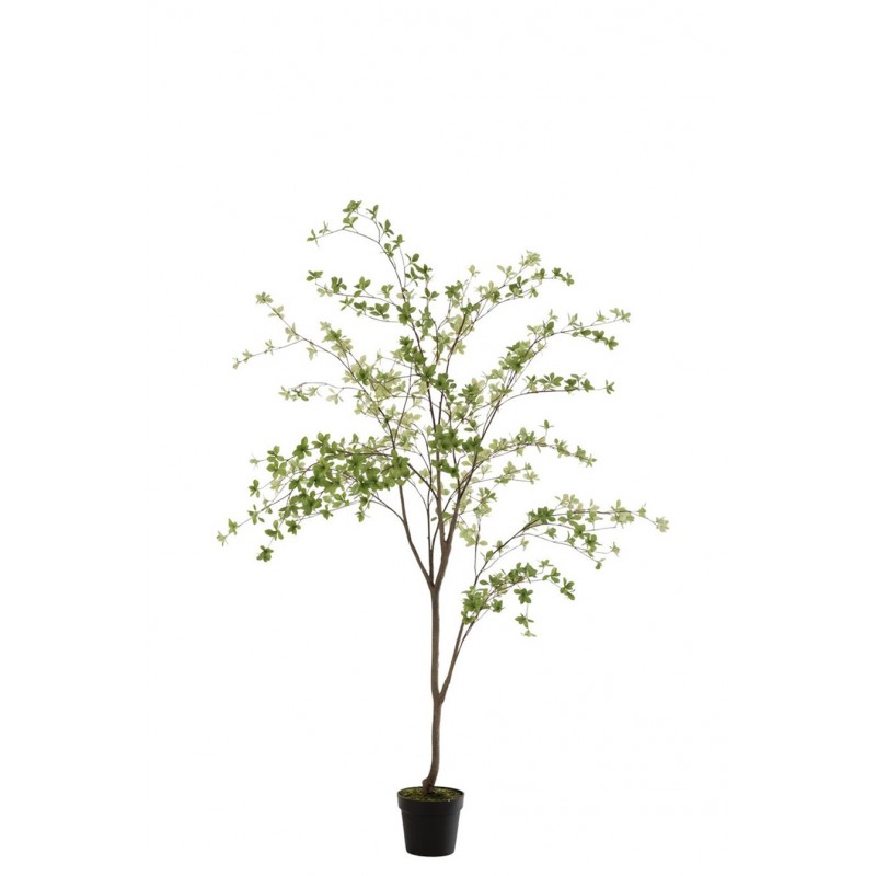 XL Pflanze in grün (51x84x193cm)