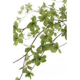 XL Pflanze in grün (51x84x193cm)